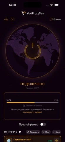 VoxiProxyTun iPhone 官方界面预览 3