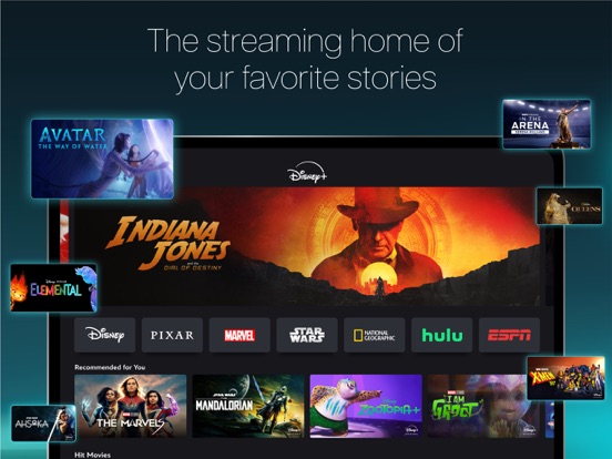 Disney+ · 官方 App Store 截图(iPad 版)